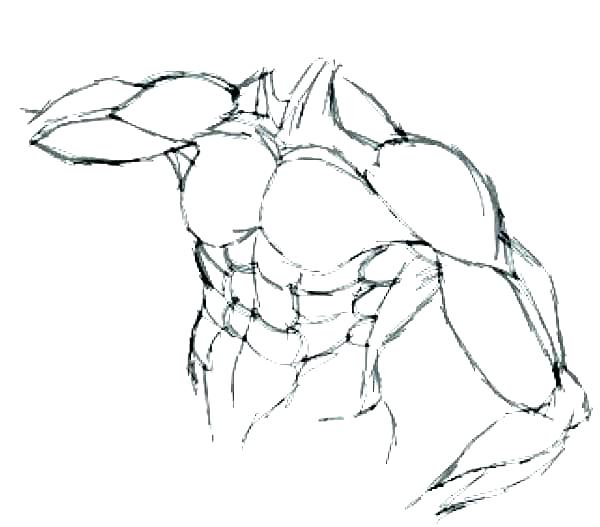600x527 Body Outline Coloring - Sketch Body Outline