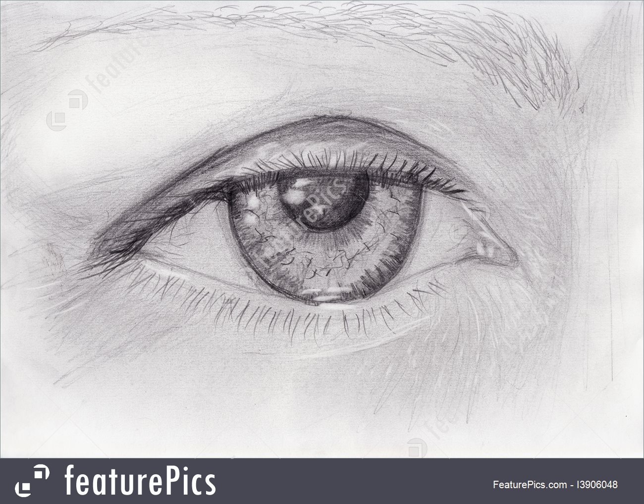 1300x1018 Human Body Parts Pencil Drawing Of Woman Eye - Sketch Body Parts