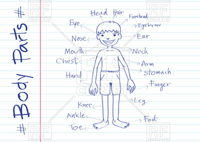 400x283 Parts Of Body Boy (Sketch Style) Vector Image Vector Artwork Of - Sketch Body Parts
