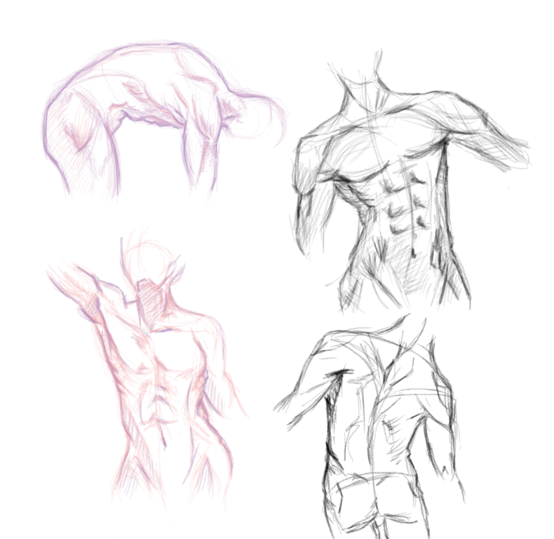 790x768 Body Parts... Sketches By Chapisanta - Sketch Body Parts
