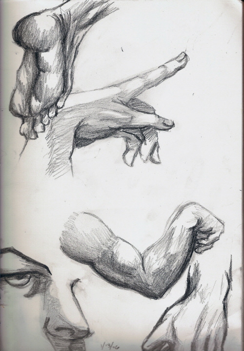 500x718 Sketched Body Parts By Catgirl Calla - Sketch Body Parts