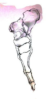 236x418 20 Best Illustration Images Lead Pencil, Bones And - Sketch Bones