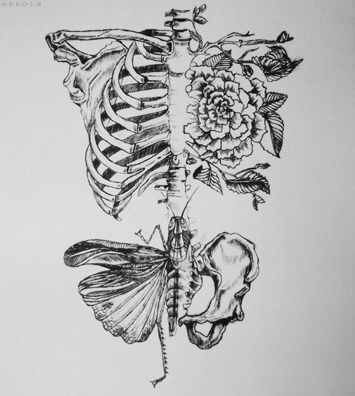 500x559 My Art The Loveliest Bones - Sketch Bones