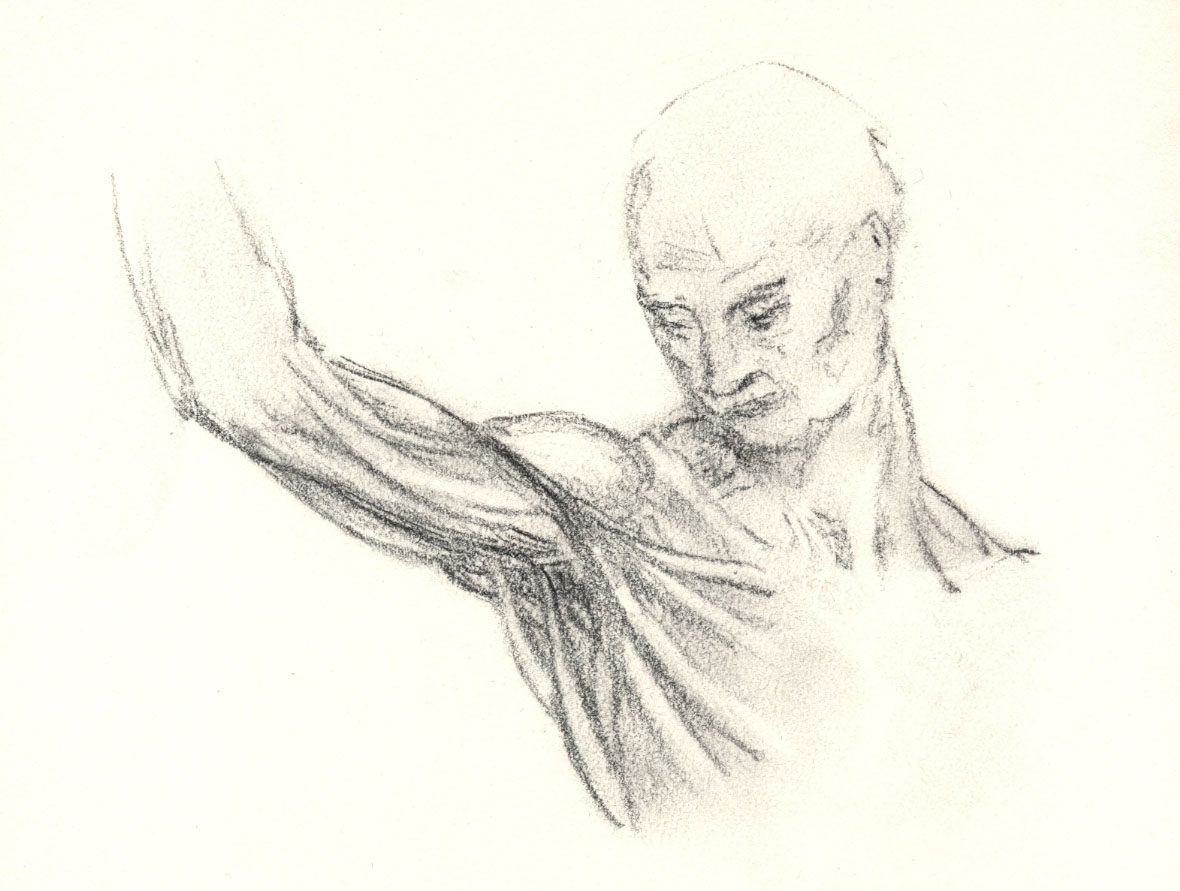 1180x891 200 Bones Amp Sinews Sketch 365 By Scott Hulme - Sketch Bones