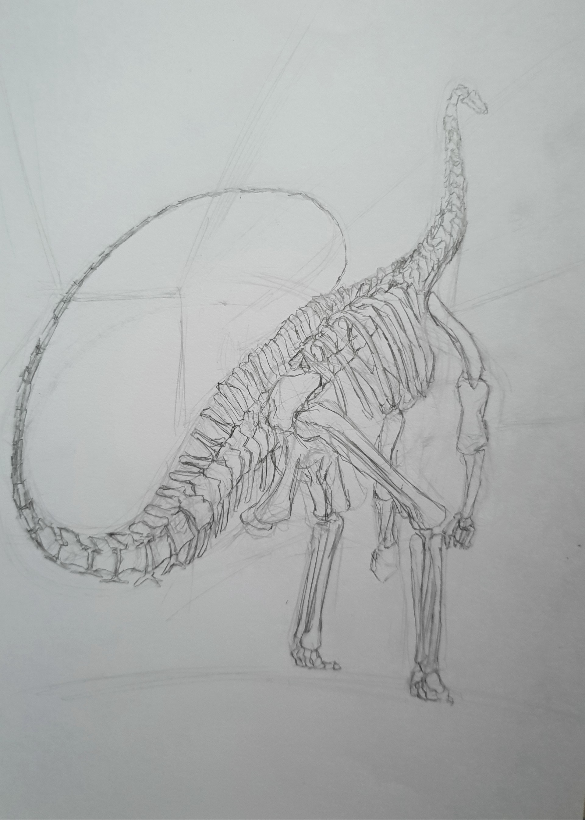 1920x2689 Pei Teck Ng - Sketch Bones
