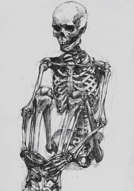 431x615 Art, Arts, Bones, Drawing, Pencil - Sketch Bones