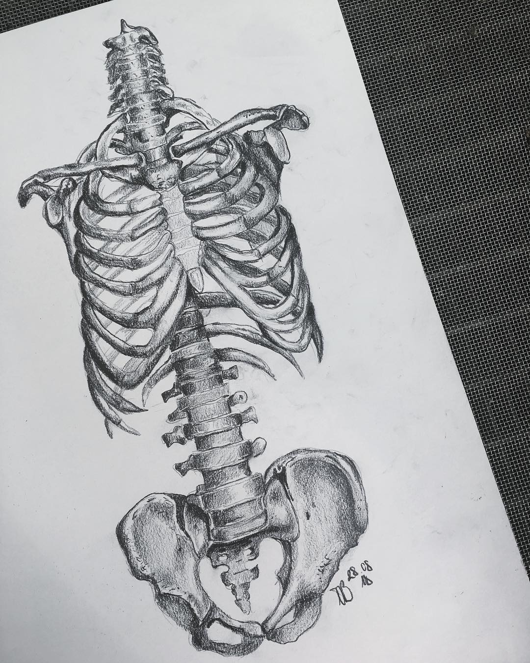 1080x1350 Bones Artwork Sketch Illustration On Instagram - Sketch Bones