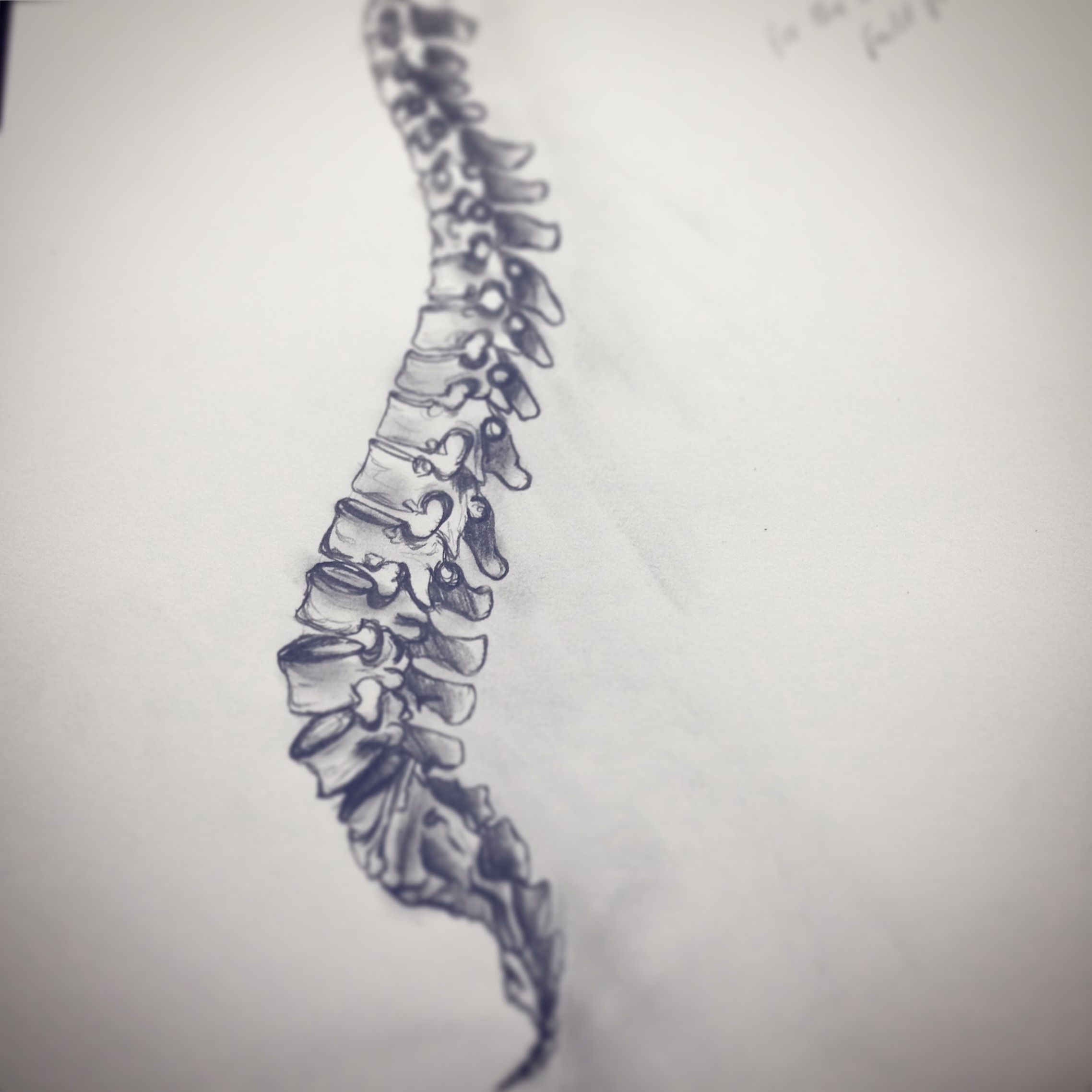 2276x2276 Studio 6. Fashion Design (Honours) Rmit University. Led Pencil - Sketch Bones