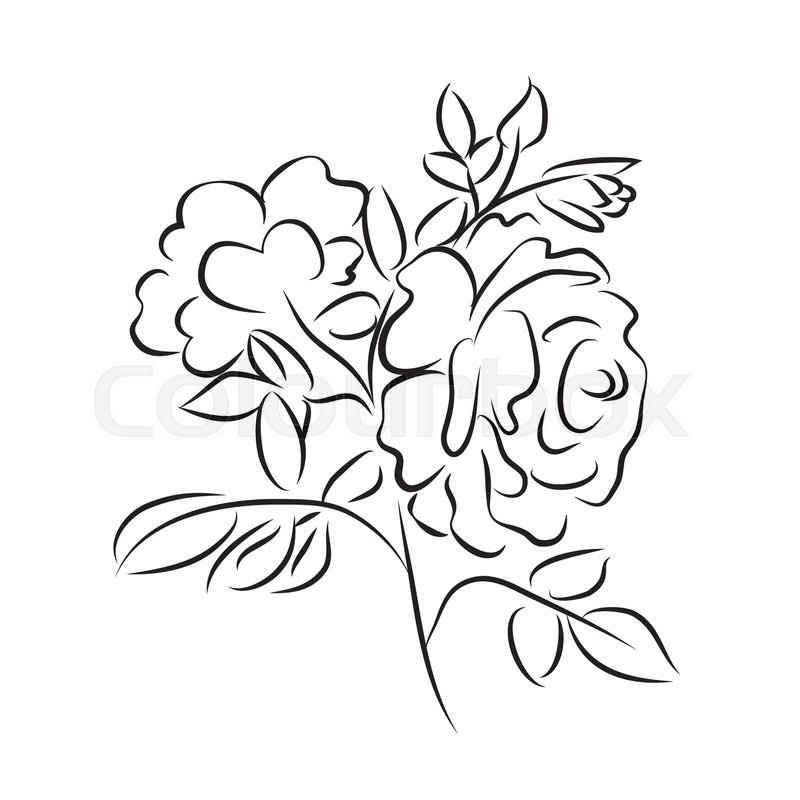 800x800 Sketch Rose Branch, Hand Drawn, Very Simple Outline With Little - Sketch Branch