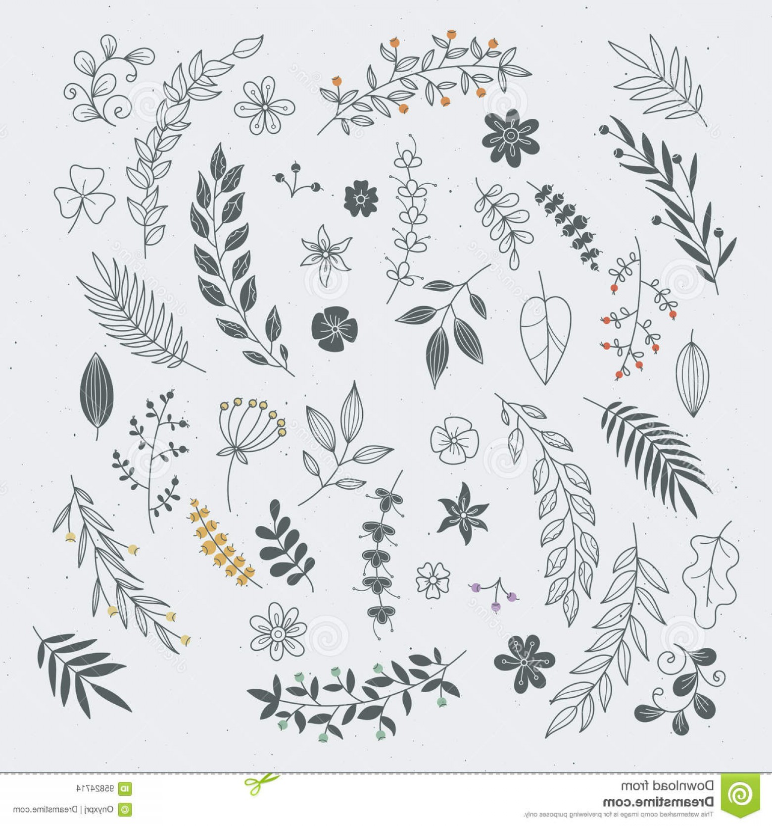 1560x1668 Stock Illustration Rustic Hand Drawn Ornaments Branches Leaves - Sketch Branch