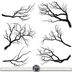 236x236 Tree Branch Drawing Inspire - Sketch Branch