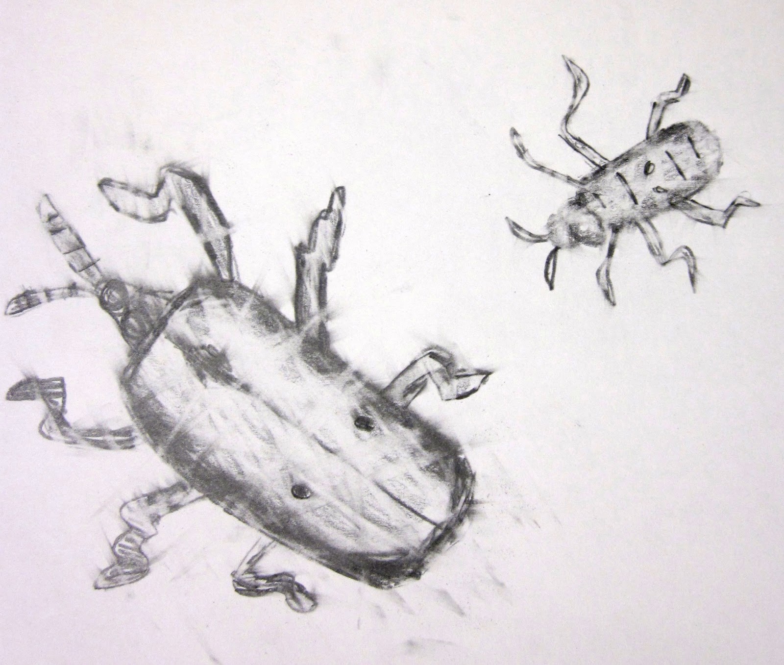 1600x1357 Bug Sketch - Sketch Bug