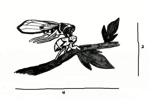 500x333 Bug Sketch Dissolves Find, Make Amp Share Gfycat Gifs - Sketch Bug