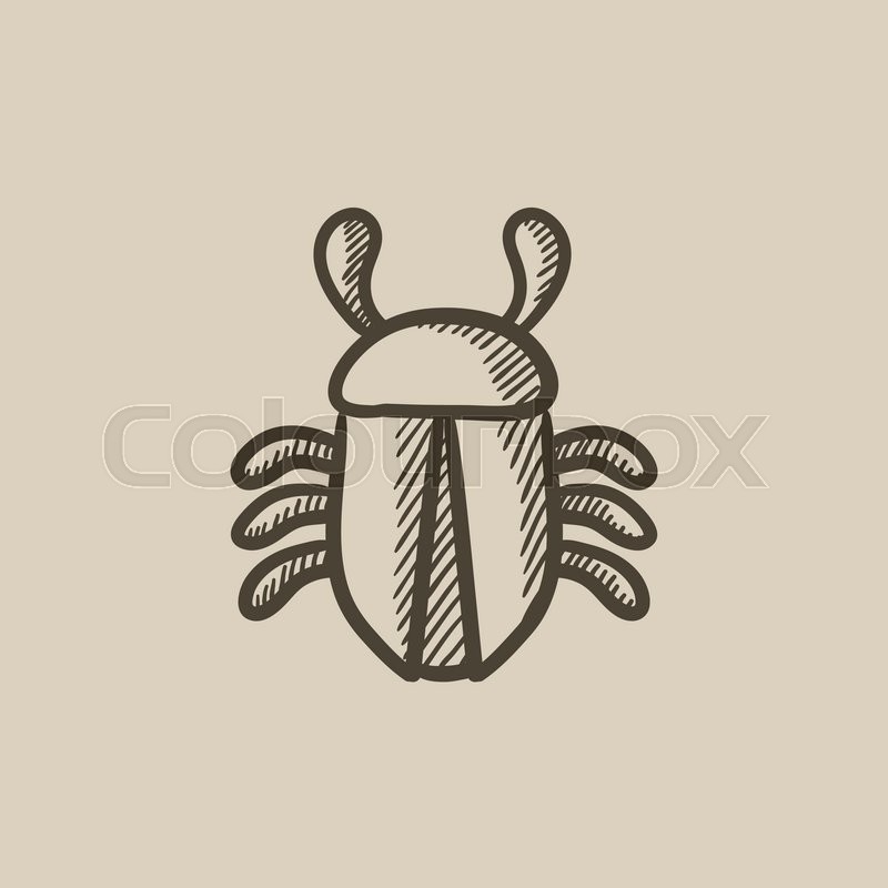 800x800 Computer Bug Vector Sketch Icon Isolated On Background. Hand Drawn - Sketch Bug