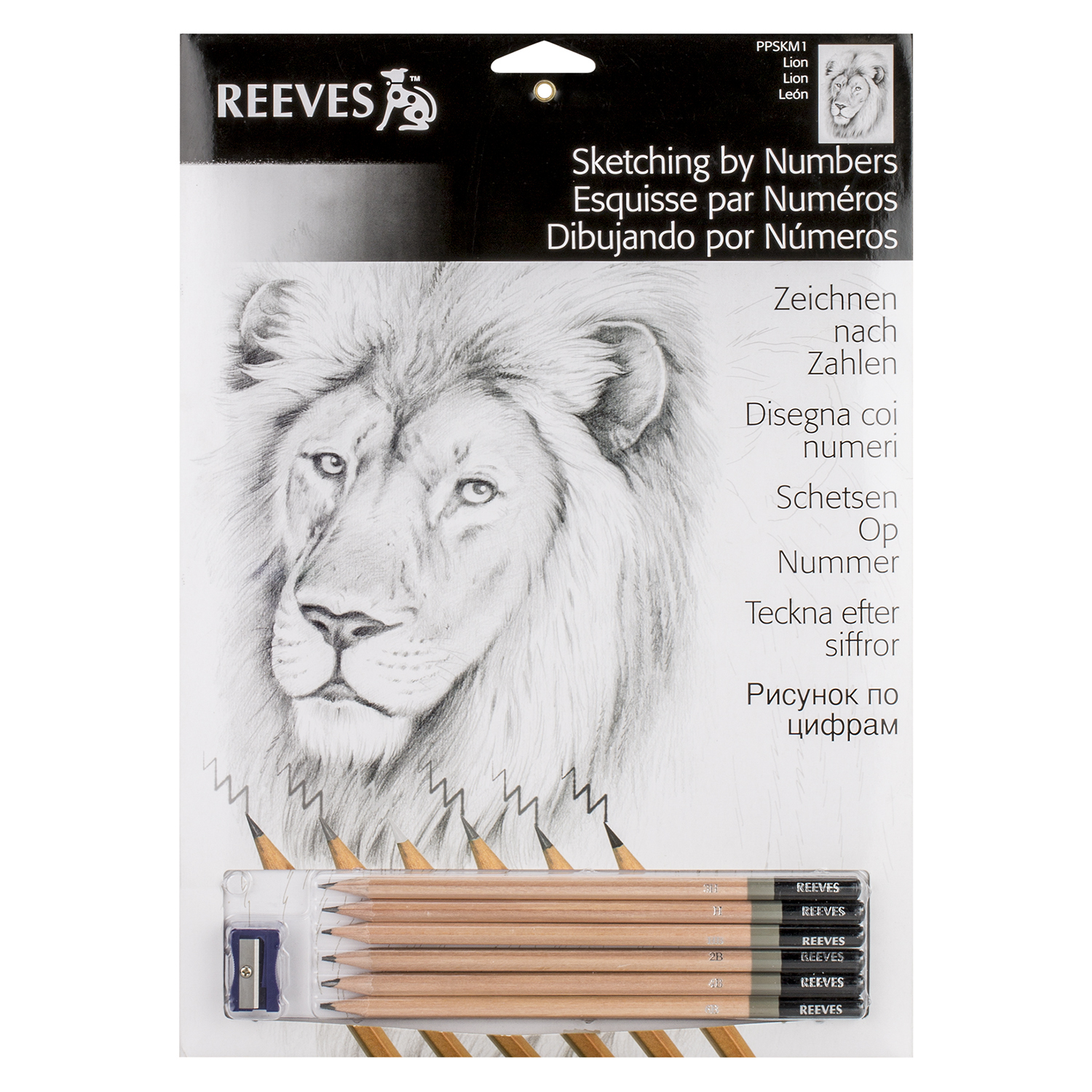 1500x1500 Reeves Lion Sketching By Numbers - Sketch By Numbers