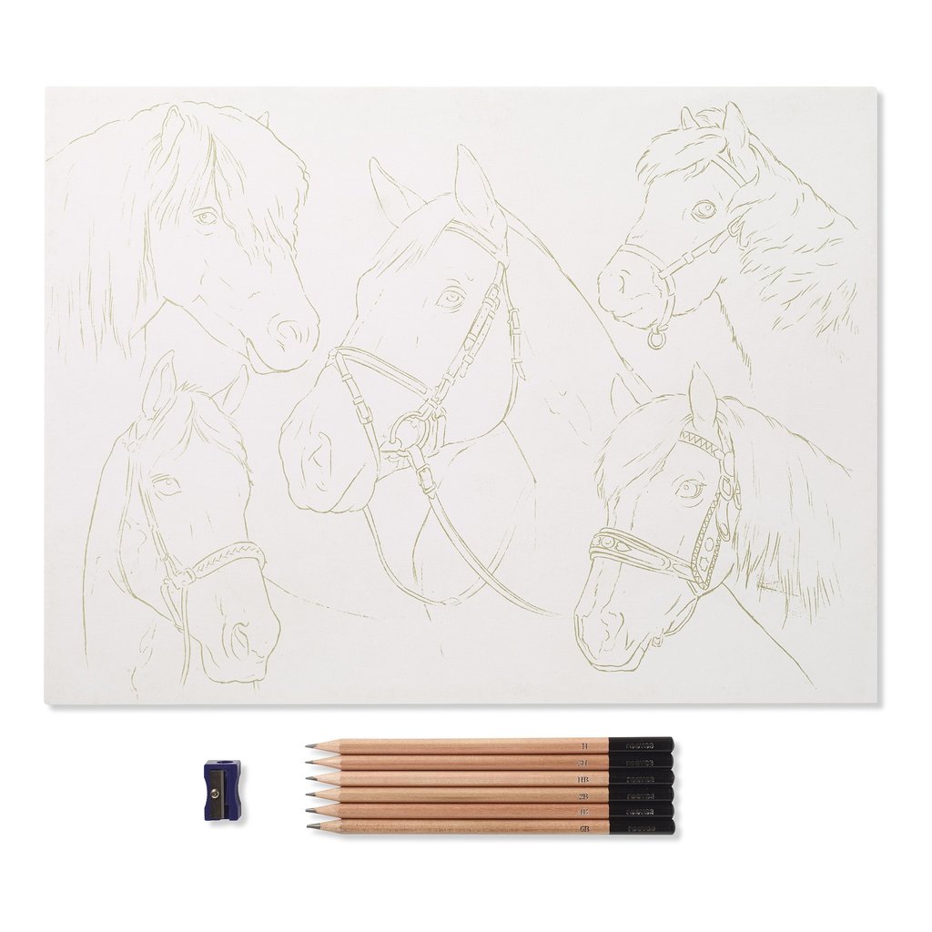 1024x1024 Reeves Sketch By Numbers - Sketch By Numbers