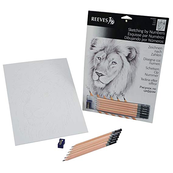 569x569 Reeves Sketching By Numbers Lion (Medium) Amazon.co.uk Toys Amp Games - Sketch By Numbers