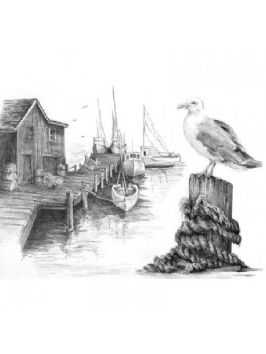 540x720 Sketching By Numbers - Sketch By Numbers