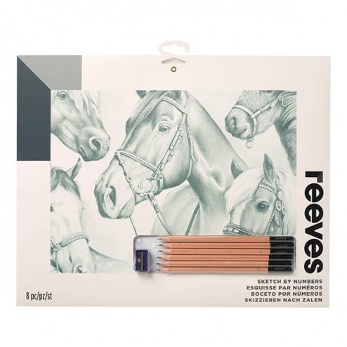 494x494 Sketch By Numbers - Sketch By Numbers