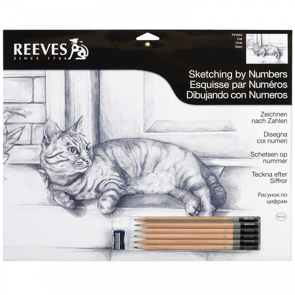 1000x1000 Large Sketching By Numbers Cat - Sketch By Numbers
