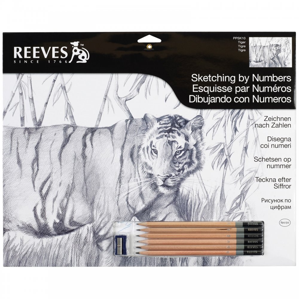 1000x1000 Large Sketching By Numbers Tiger - Sketch By Numbers