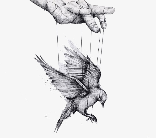 650x575 Creative Pencil Sketch Plane, Plane Clipart, Design, Art Png Image - Sketch Clipart