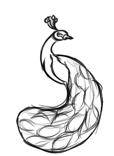 372x508 Sketch Clipart Peacock - Sketch Clipart