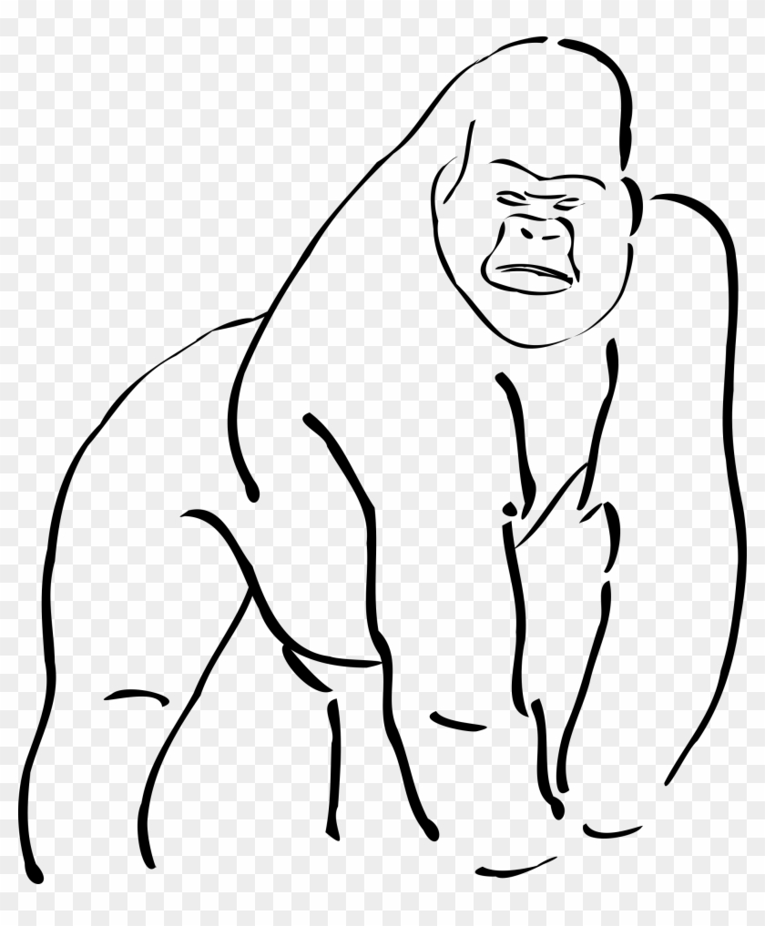 840x1017 Vector And Cartoon Gorilla Clipart 446 Favorite Clipartfan - Sketch Clipart