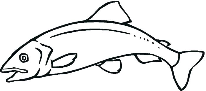 700x312 Salmon Coloring Pages Salmon Coloring Pages Salmon Coloring Pages - Sketch Coloring Pages