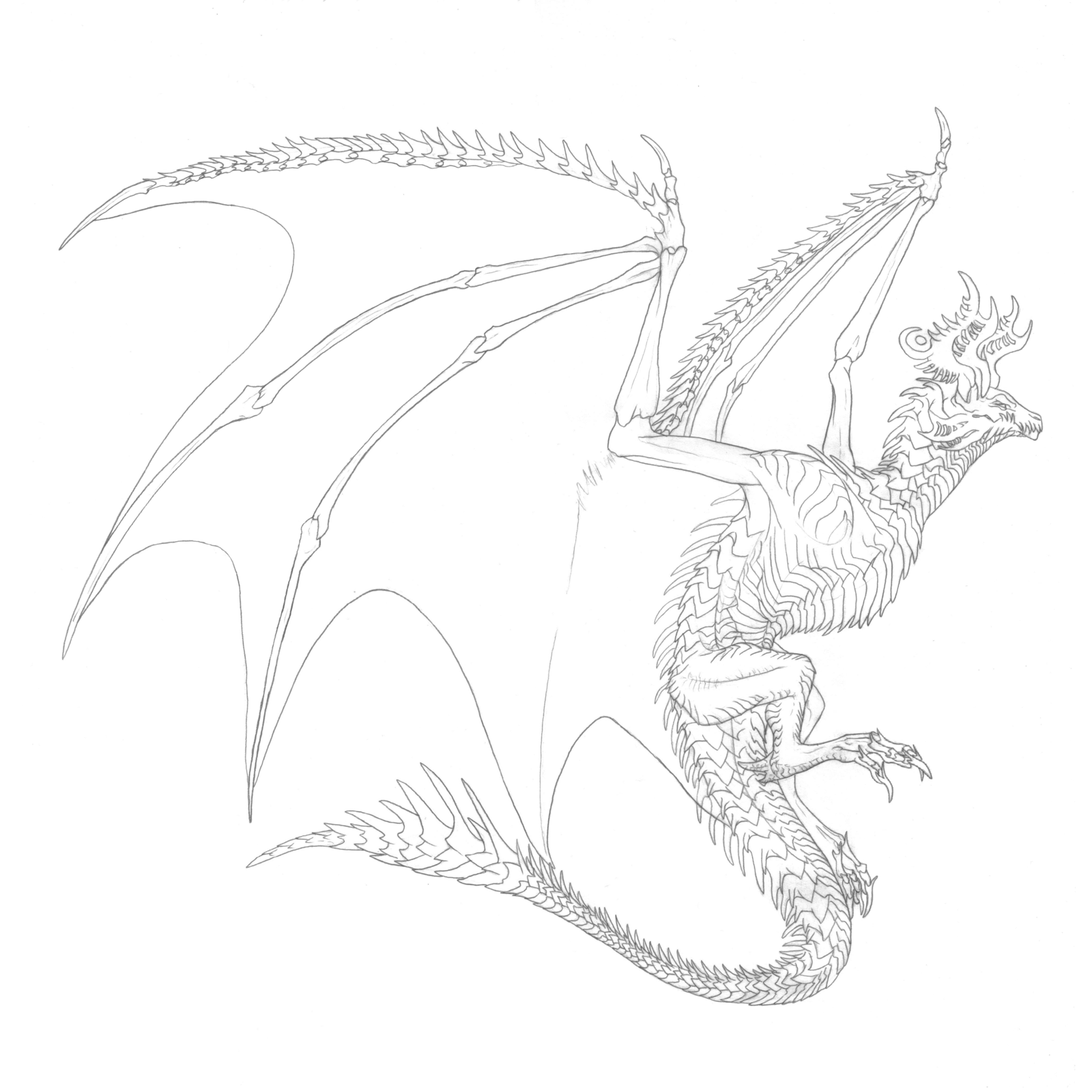 1600x1600 Commission - Sketch Commission