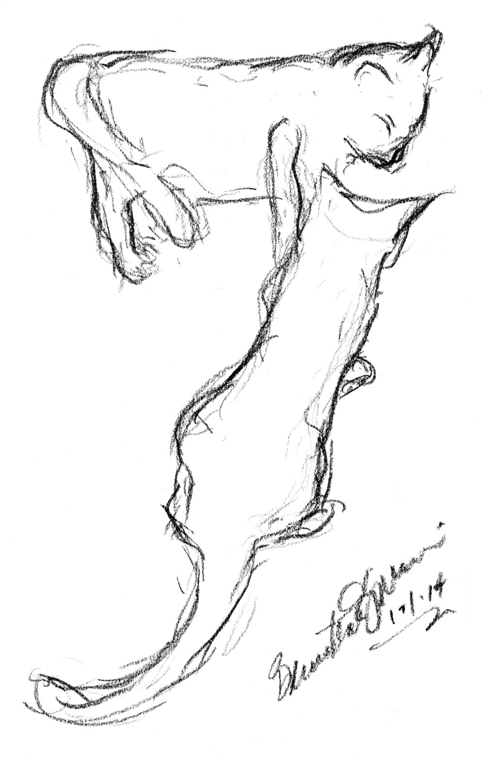 1000x1562 Daily Sketch Contact ~ The Creative Cat - Sketch Contact