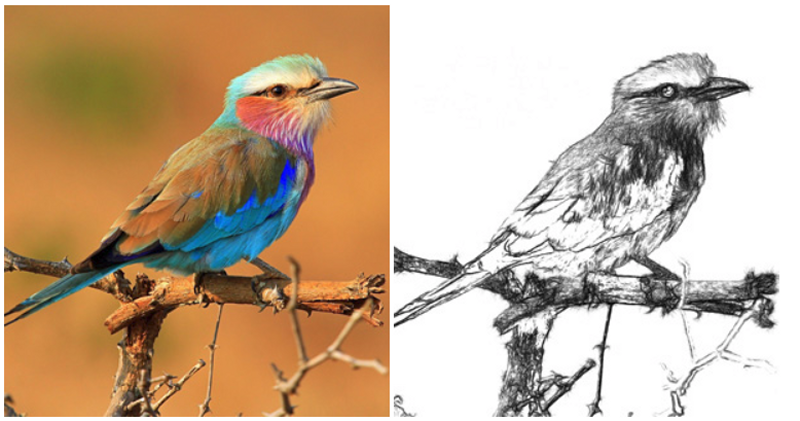 800x421 Photo To Sketch Converter - Sketch Converter