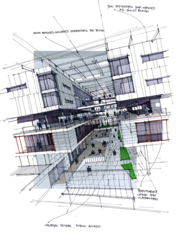 736x985 Eaypv21sh9c.jpg Sketch Sketchbooks - Sketch Crossword