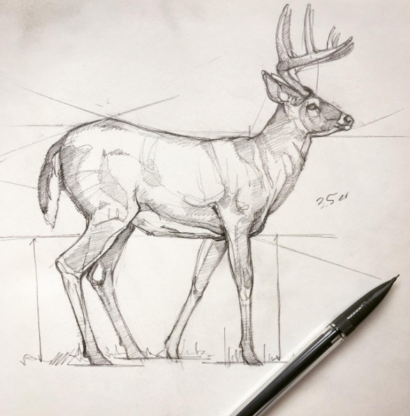 587x595 Ryan Kirby Art The Reason That I - Sketch Daily