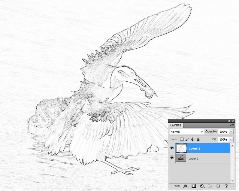 796x636 Half Sketch Half Photo Morph With Photoshop - Sketch Definition