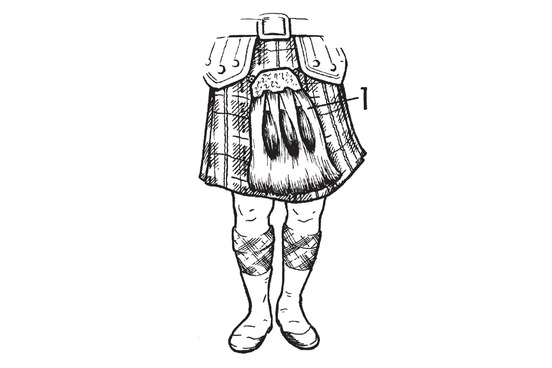 552x368 Sporran - Sketch Dictionary