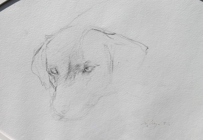 705x487 Original Aw Pencil Sketch - Sketch Discount