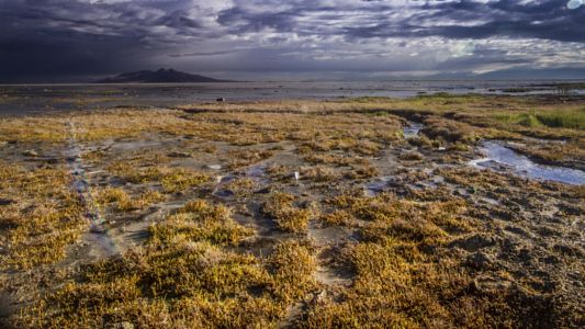 533x300 The Great Salt Lake By Sketch Ditty Beautiful Places - Sketch Ditty