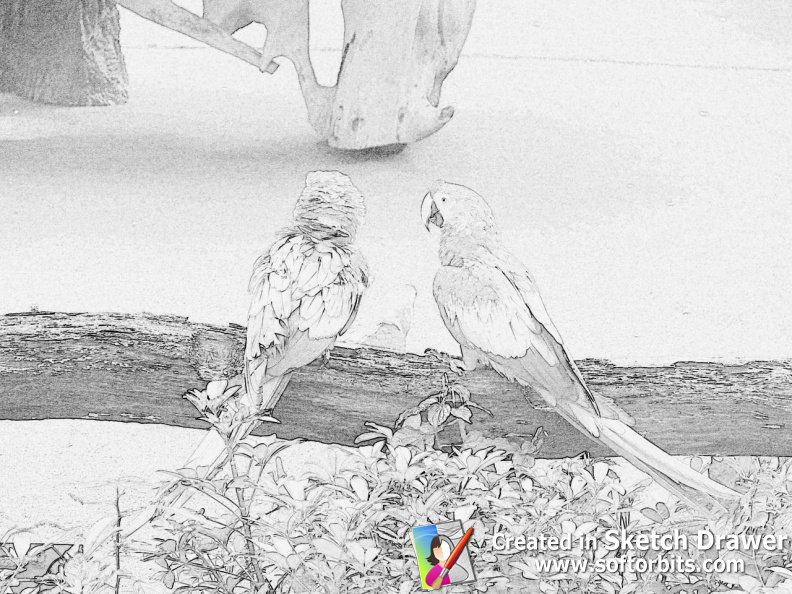 792x594 Windows] Transform Your Images Into Drawings With Softorbits - Sketch Drawer Pro