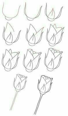 236x400 Easy To Draw Rose. Flowers Drawings, Art And Painting - Sketch Drawing Step By Step