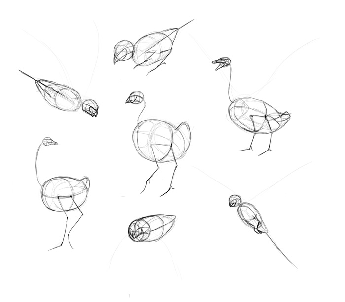 700x614 How To Draw Birds Step By Step Instructions - Sketch Drawing Step By Step
