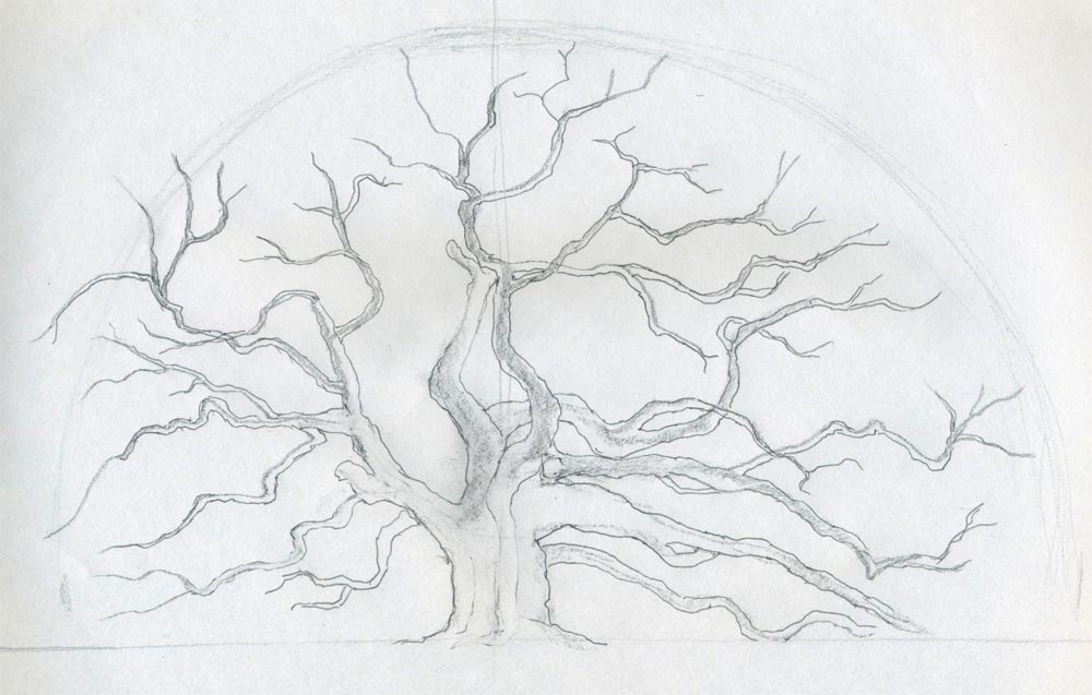 1000x637 Draw An Oak Tree. Angel Oak Tree. - Sketch Drawing Step By Step