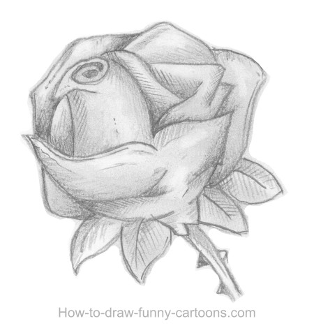 450x480 Sketches Of Roses - Sketch Examples