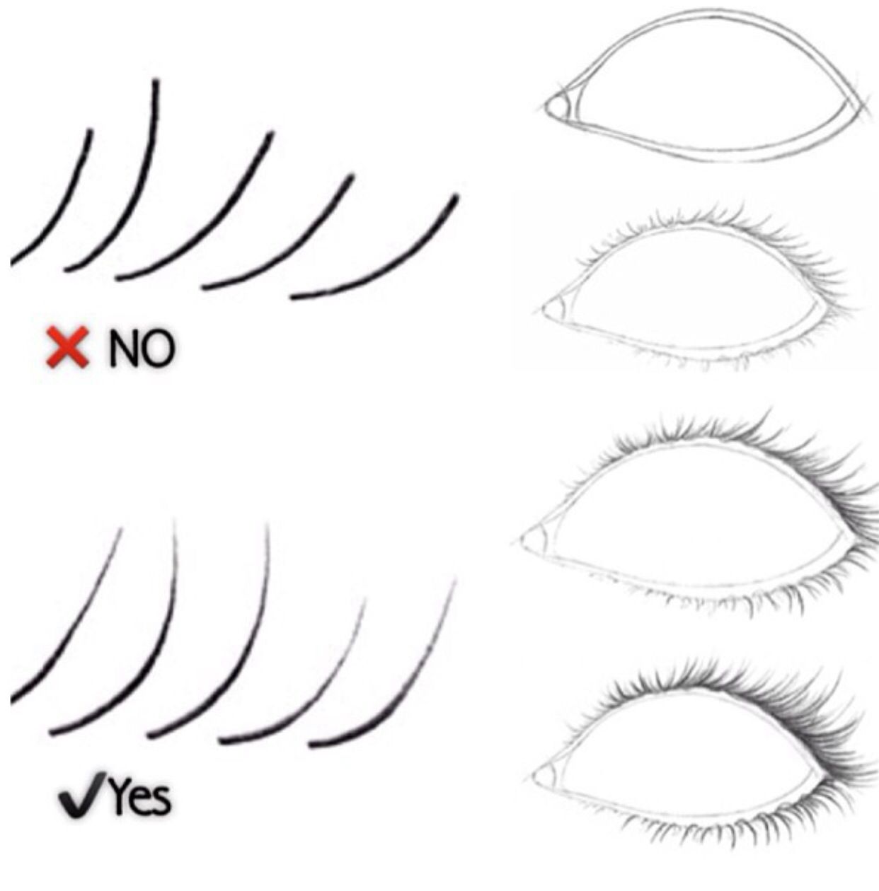 1242x1260 How To Draw Lashes. Useful Stuff Drawings - Sketch Eyelashes