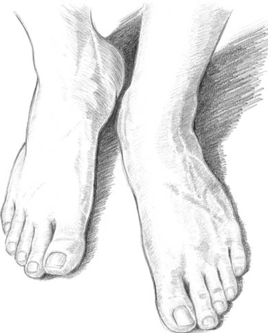 390x484 Feet - Sketch Feet