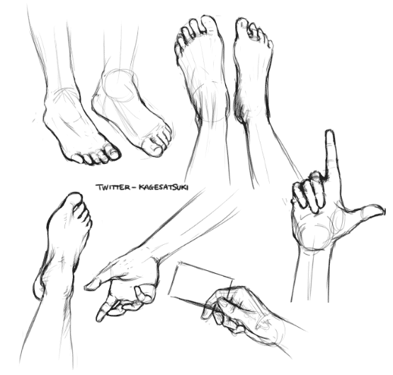 555x530 Hands Feet Study Sketch Again. K. Satsuki - Sketch Feet