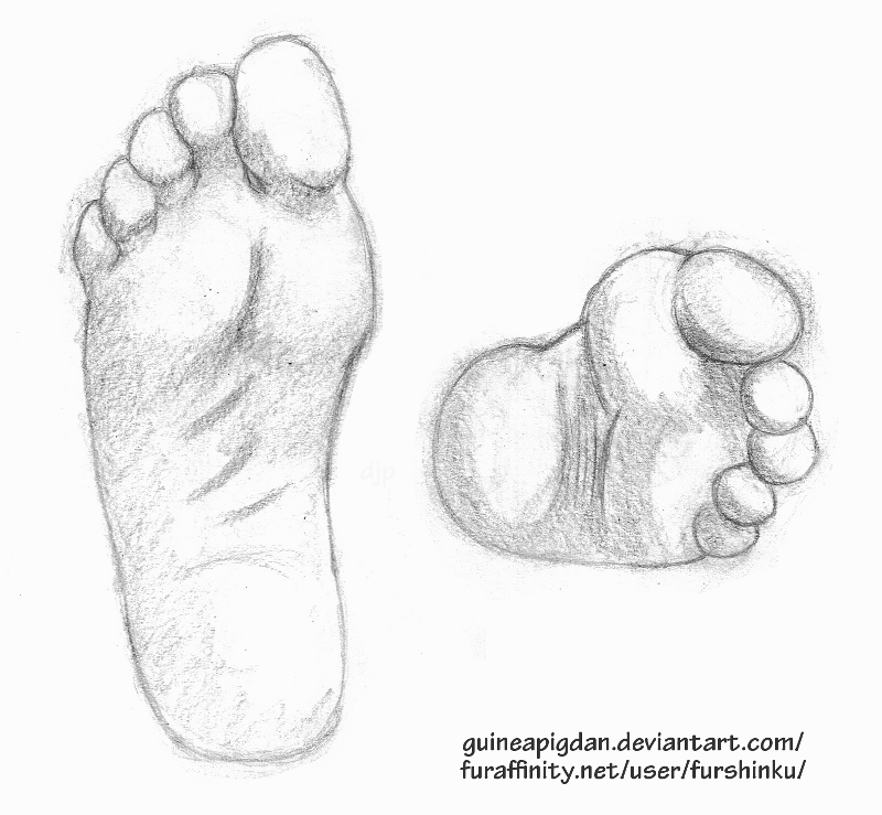 800x739 Shaded Feet Sketch By Guineapigdan - Sketch Feet