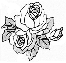 230x221 Flower Sketches And How To Draw Them Simply. Follow Along With - Sketch Flower Pictures