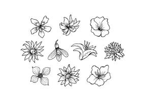 286x200 Sketch Of Flowers - Sketch Flower Pictures