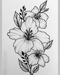 236x294 Image Result For Koroleva Tattoo Maybe, Maybe Not - Sketch Flower Tattoo